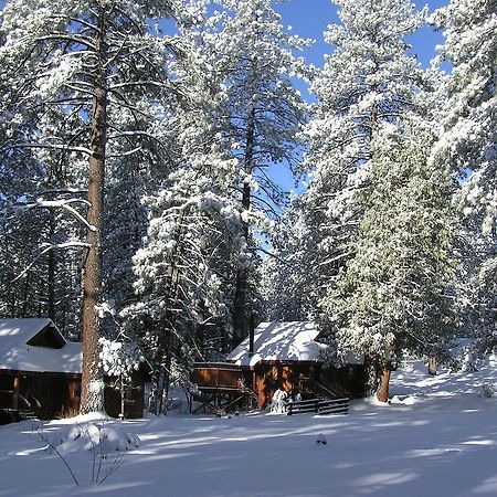 Quiet Creek Inn Idyllwild Exterior foto