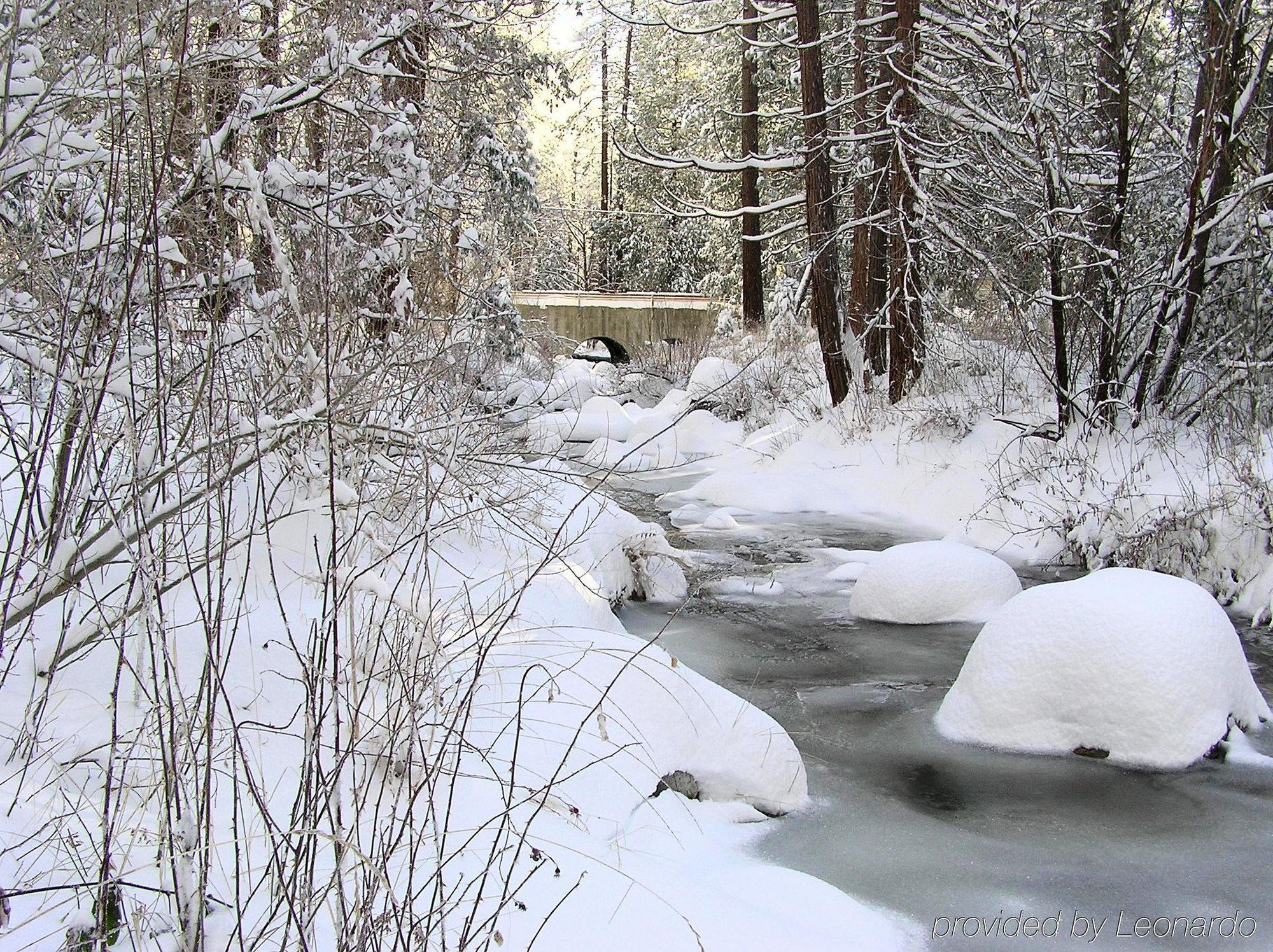 Quiet Creek Inn Idyllwild Exterior foto