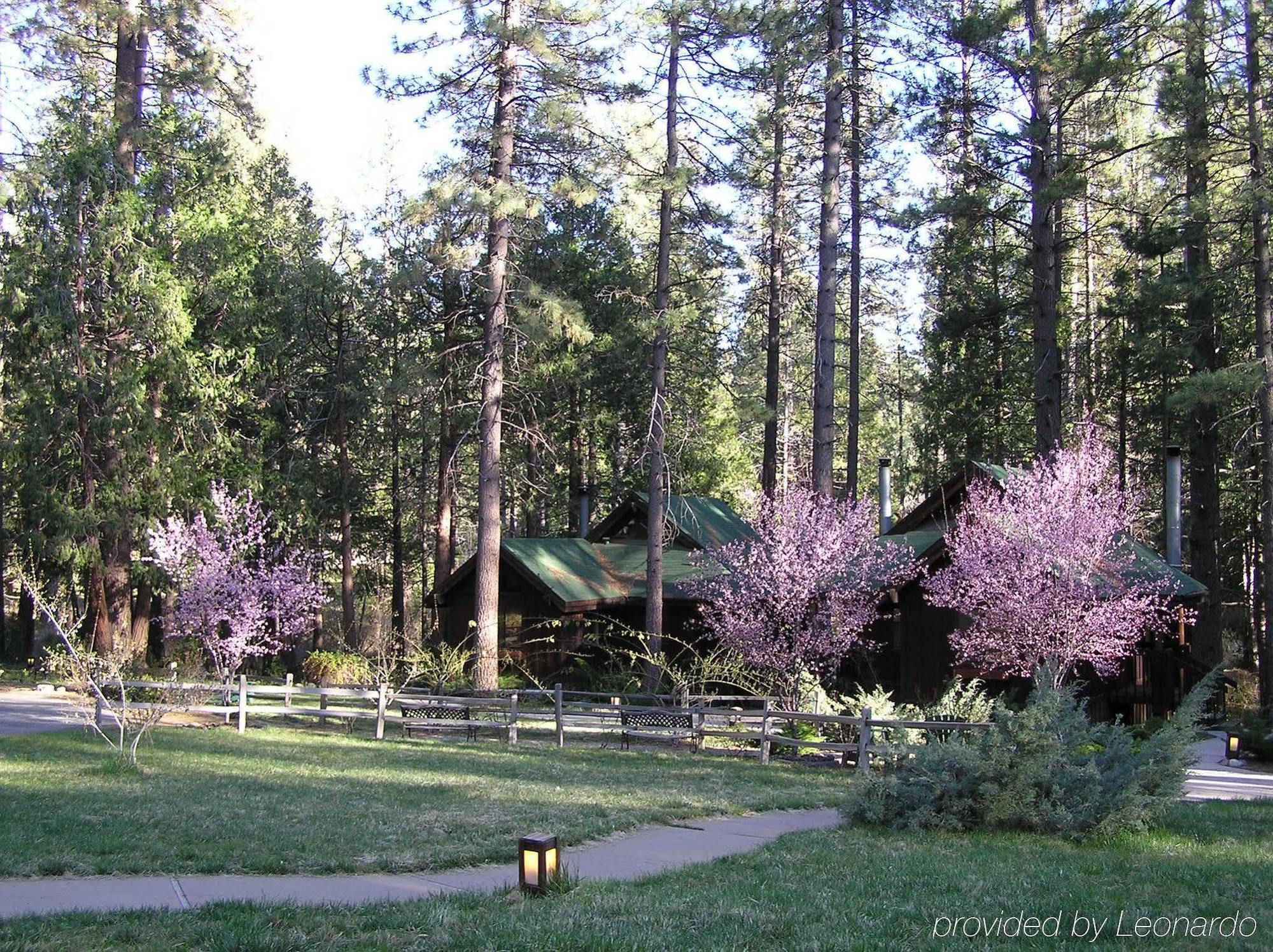 Quiet Creek Inn Idyllwild Exterior foto