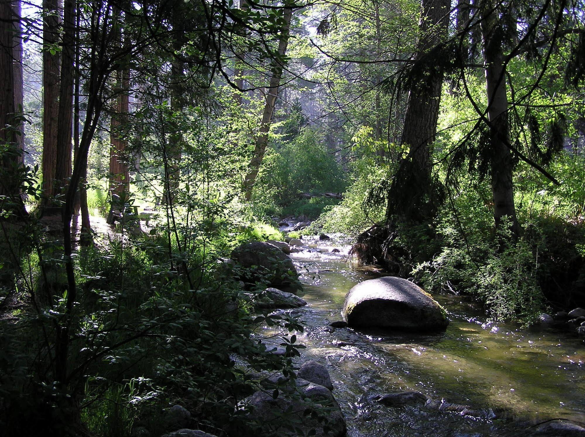 Quiet Creek Inn Idyllwild Exterior foto