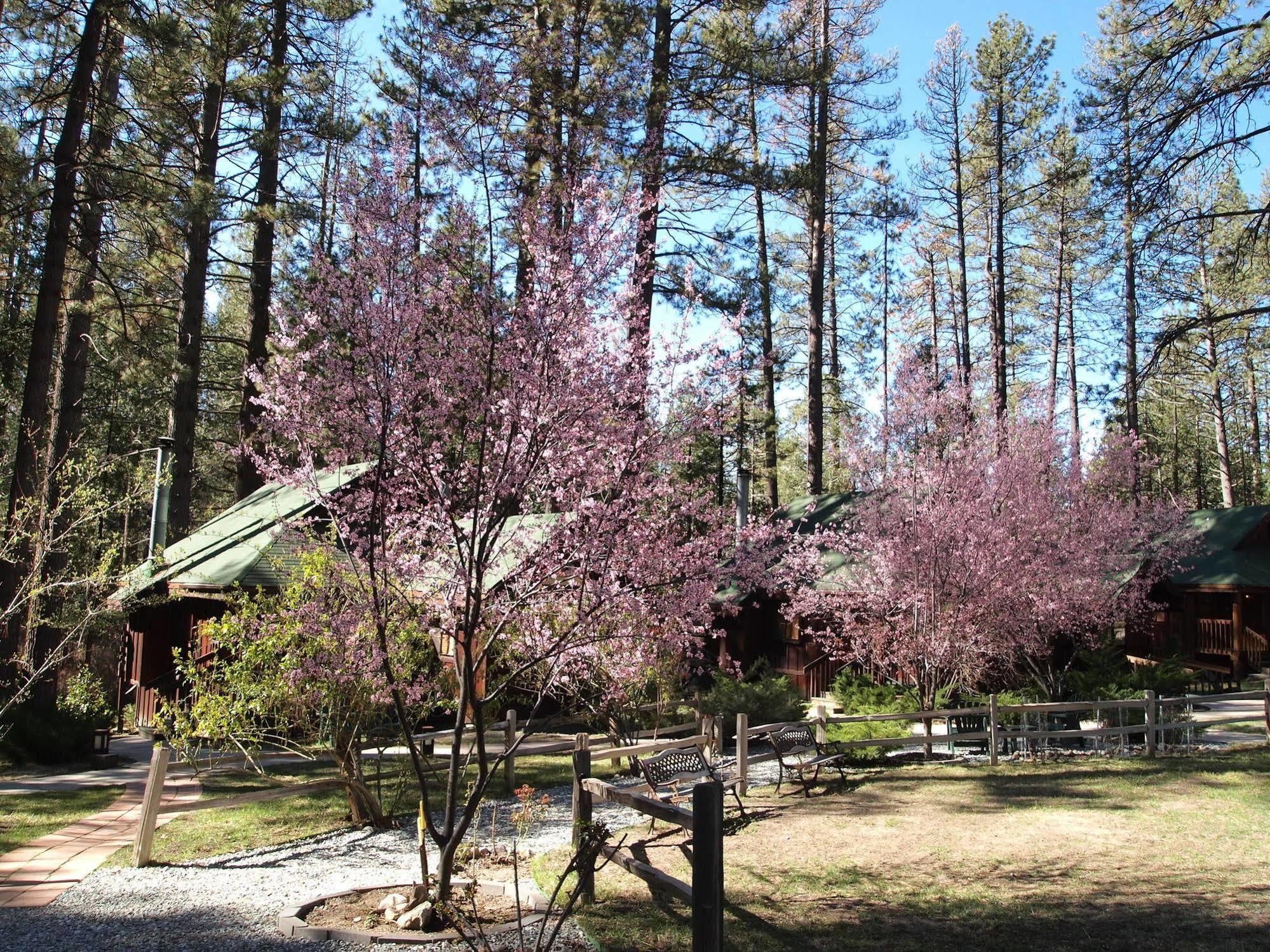 Quiet Creek Inn Idyllwild Exterior foto