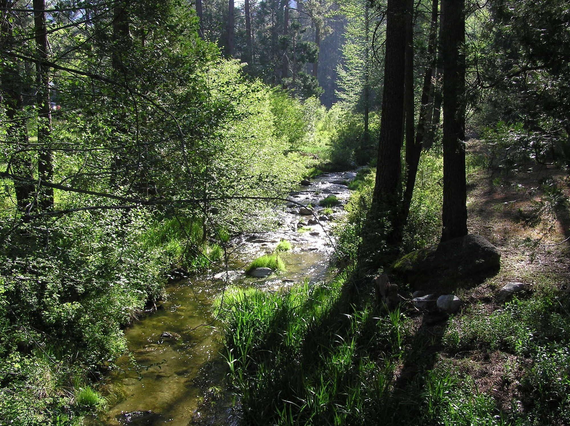 Quiet Creek Inn Idyllwild Exterior foto
