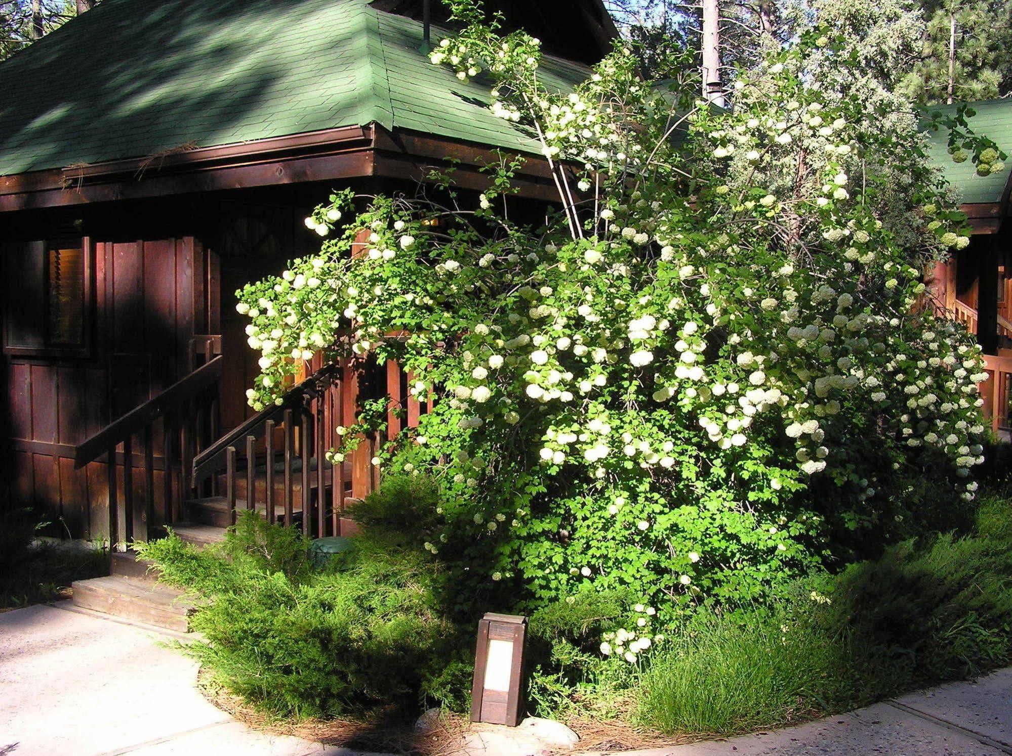 Quiet Creek Inn Idyllwild Exterior foto