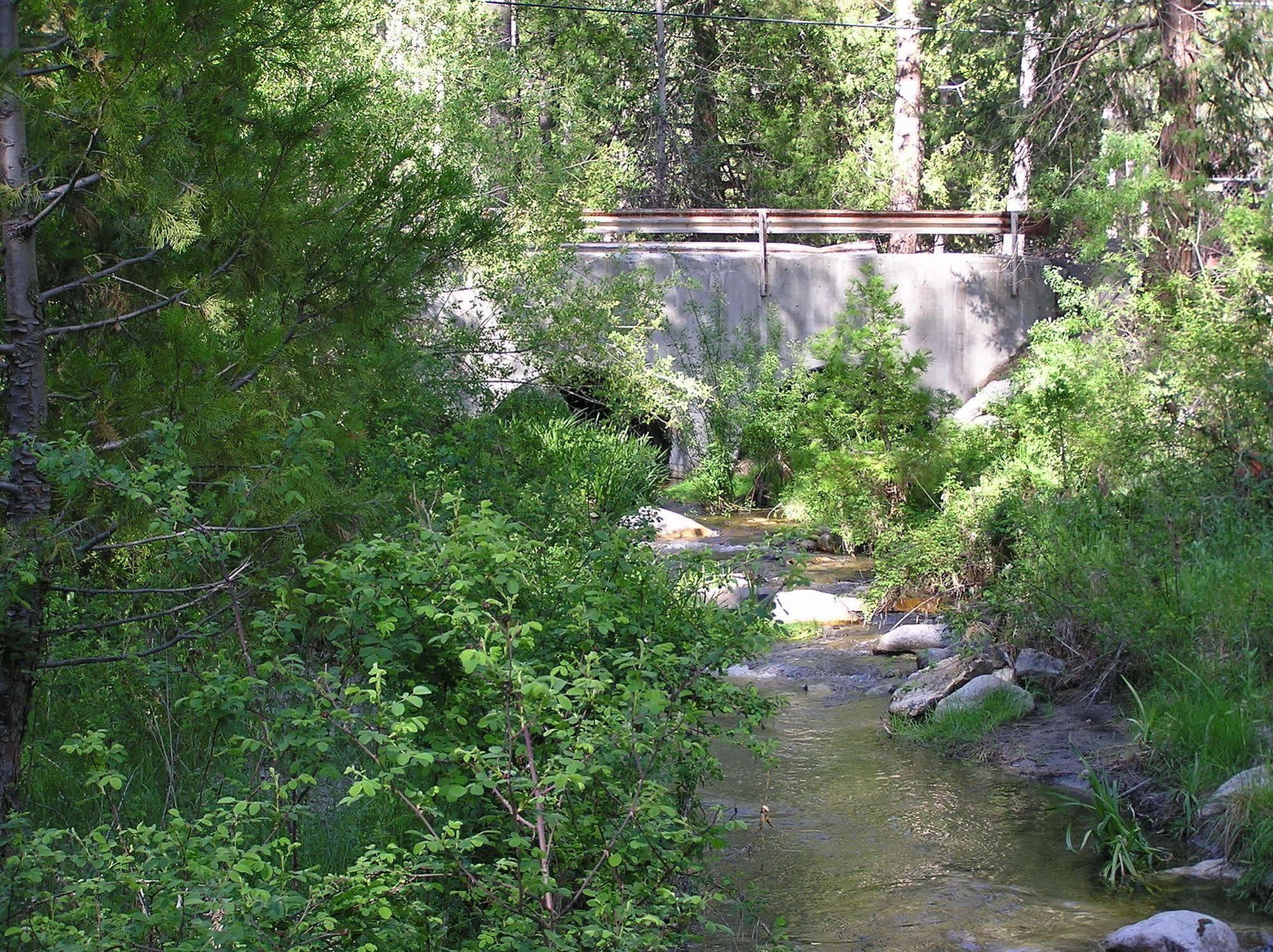 Quiet Creek Inn Idyllwild Exterior foto