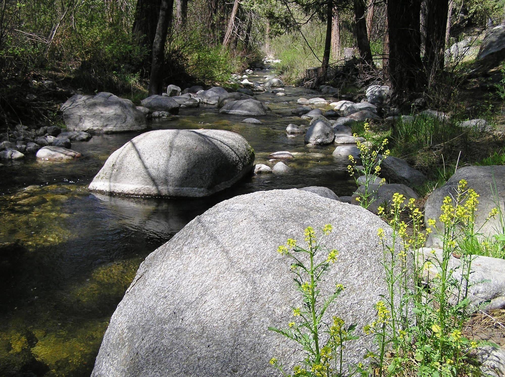 Quiet Creek Inn Idyllwild Exterior foto