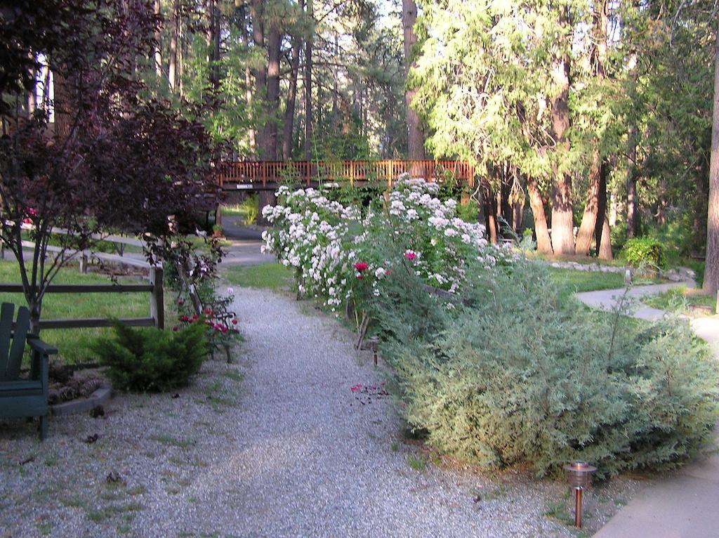 Quiet Creek Inn Idyllwild Exterior foto