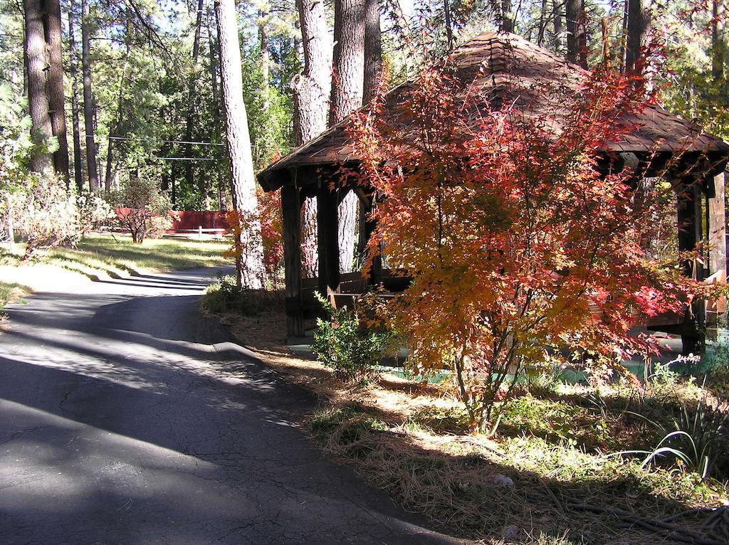 Quiet Creek Inn Idyllwild Exterior foto