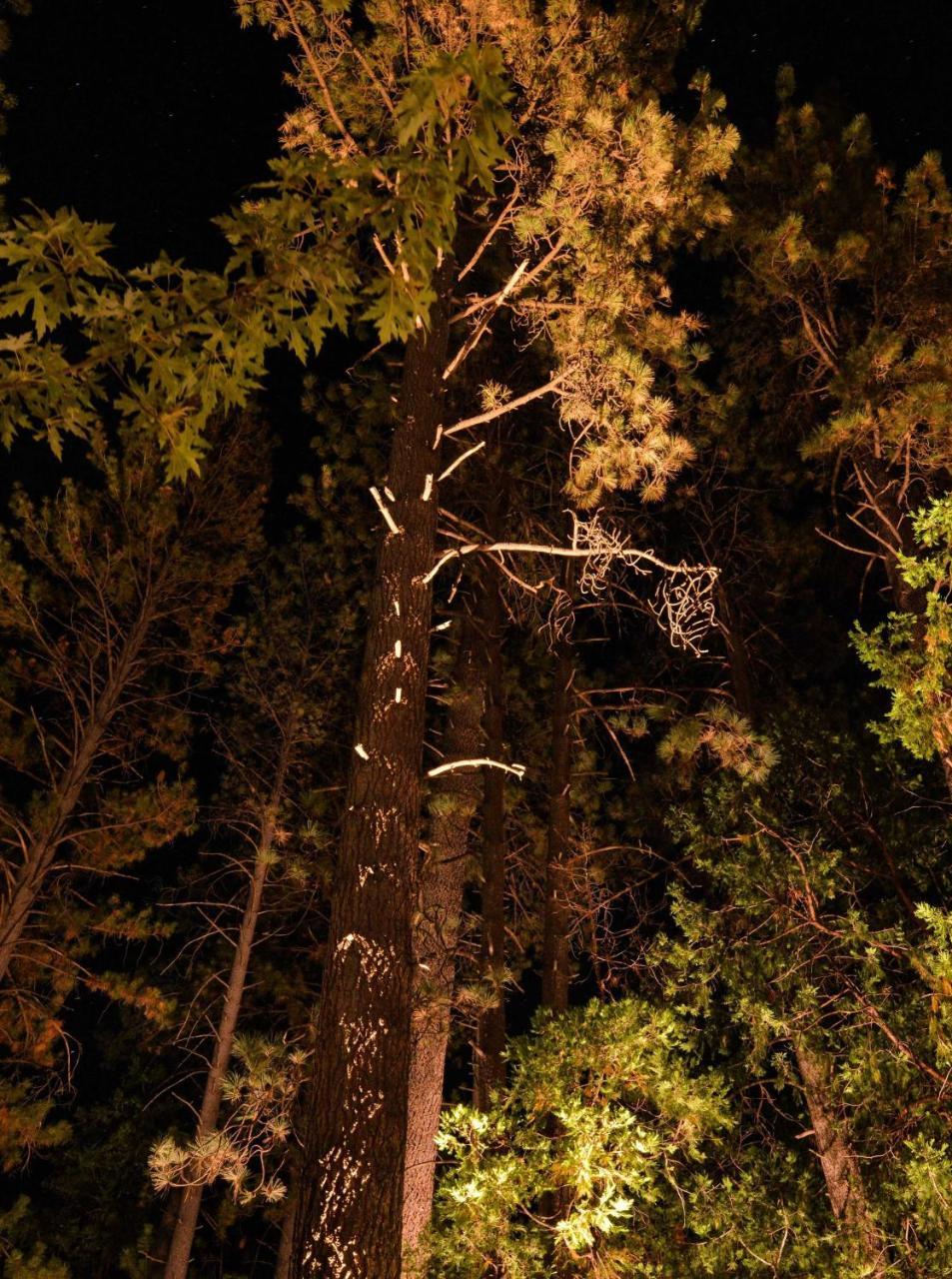 Quiet Creek Inn Idyllwild Exterior foto